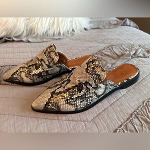 Mule - snake print